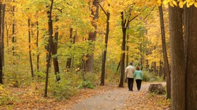 Elderly couple in woods - Autumn Flora and Fauna Excursions for the Elderly
